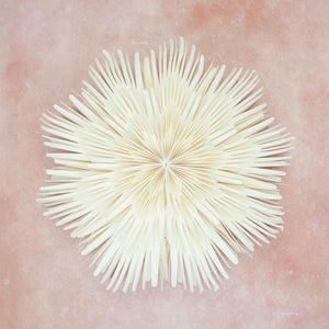 Giant Sunburst Wall Decoration - 60cm